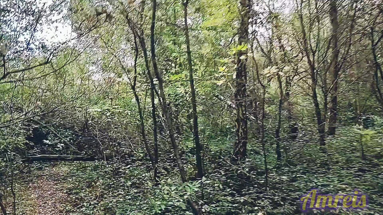 Amreis: Masturbare fierbinte extremă în pădure Spermă în Slomo