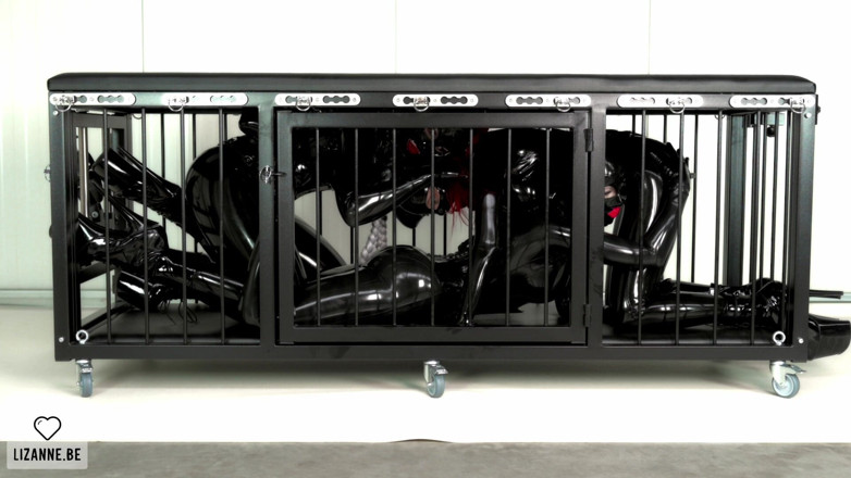 Lizanne: The Cage