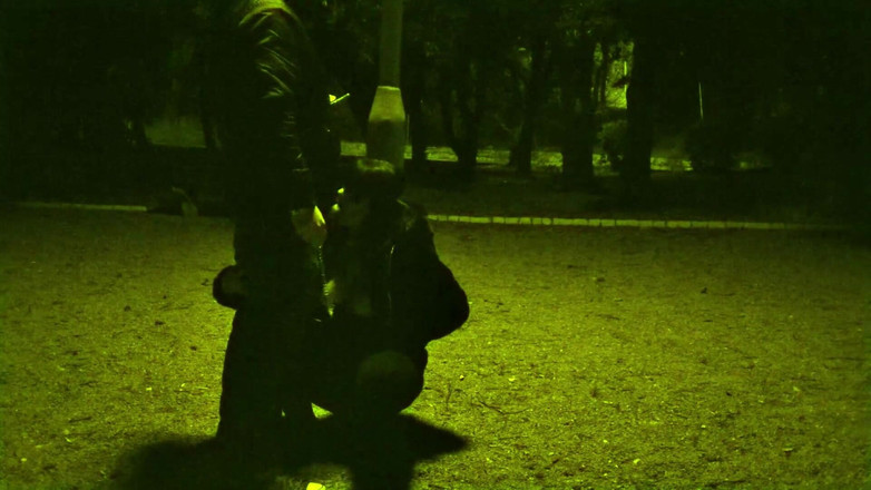 Toilet Mommy: 当交通经过我们周围时，我像狗一样被拴住，任何人都可以撞上我们...无价的。