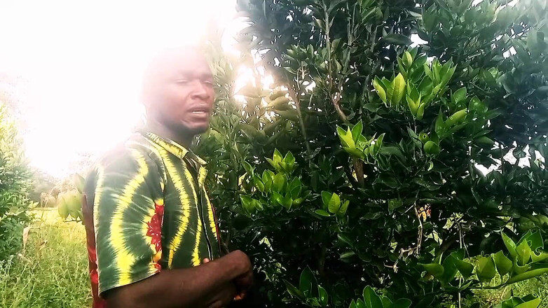 Judith xxx: Привіт Шановний