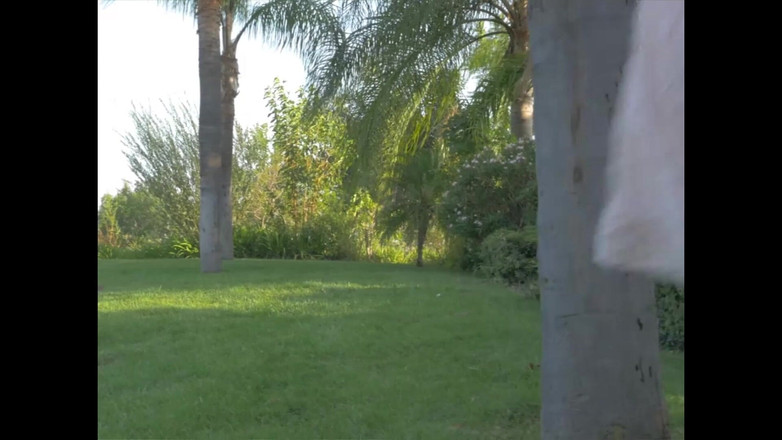 Just X Star: Plachost modelu