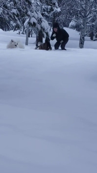 What Do You Do When It Snows