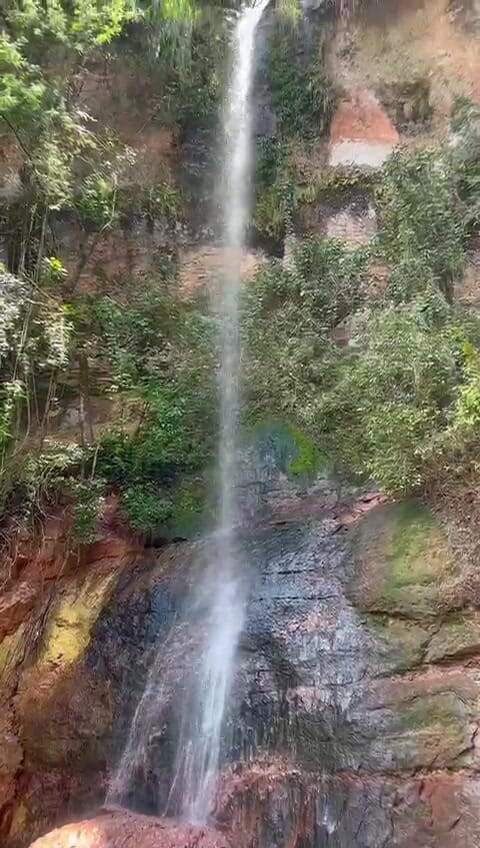 Auroraw: Nel 2026 Reconnect