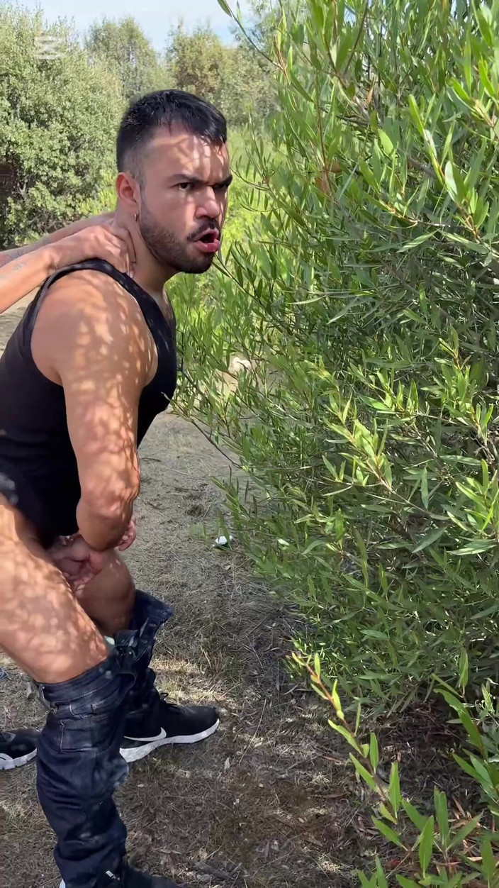 Mr. Pentacle: Die Fahrt endete mit einer Kreuzfahrt