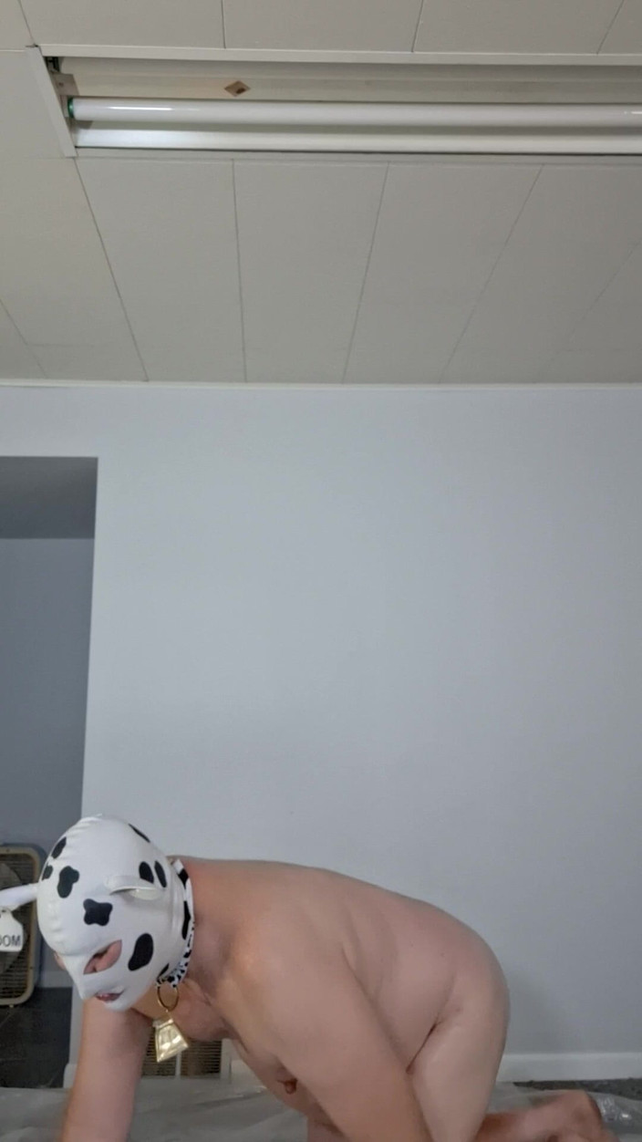 Victoria Lecherri: Peras minyak hewan peliharaanmu!