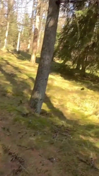 Risky Forest Date - No Condom, We Went Too Far