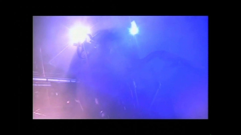 FM Video films: 오르가즘의 백성 Vol.3