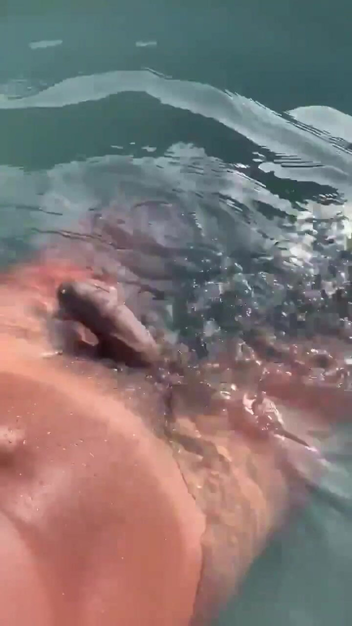 Vida Noite: プールでゴーニングオーディオを聴きながらオナニーしている