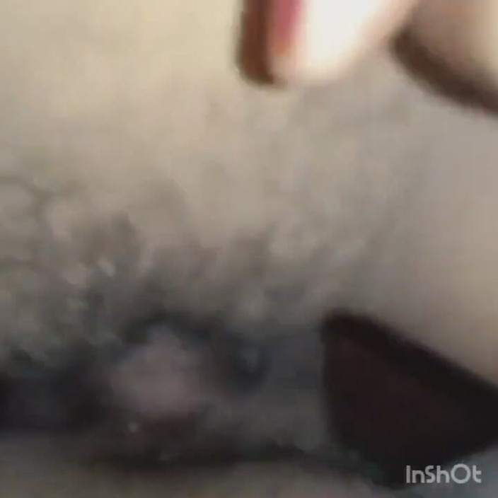 Bluegirl009: New Video Hot