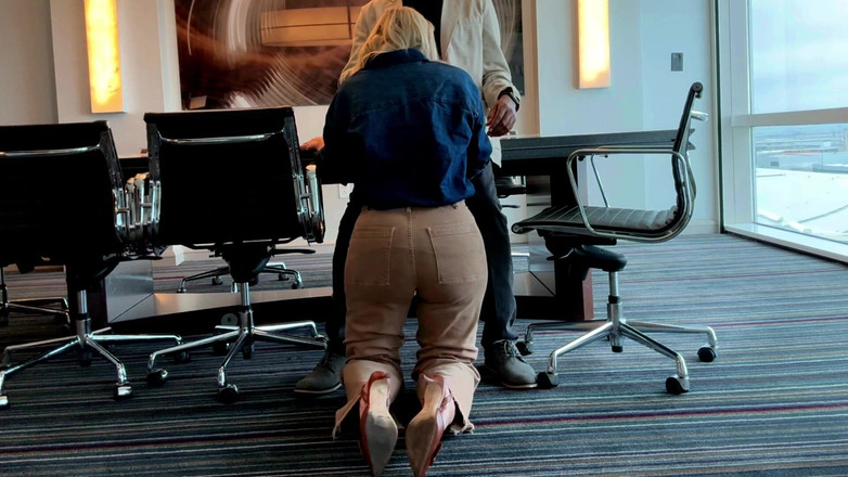 Flight Attendant Fiona: Фа Фиона встречает пассажира в его зале заседаний