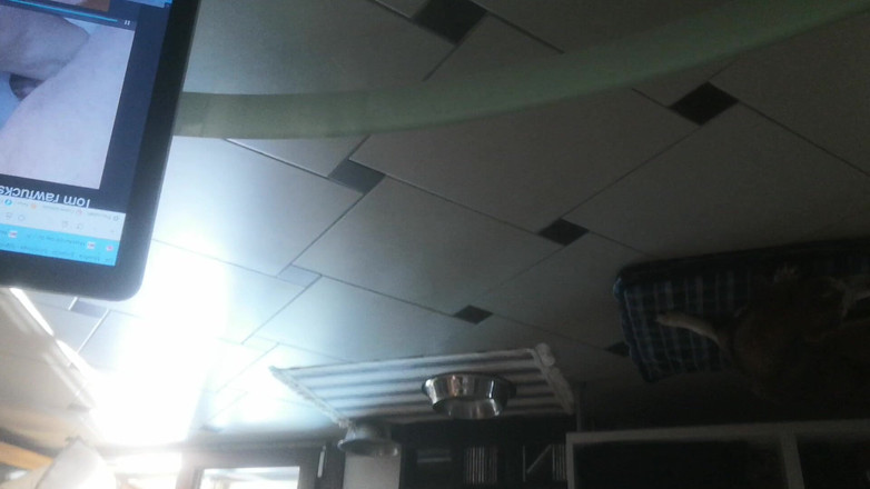 LupoNeroXL: Kontol dan beban besar ayah tiri