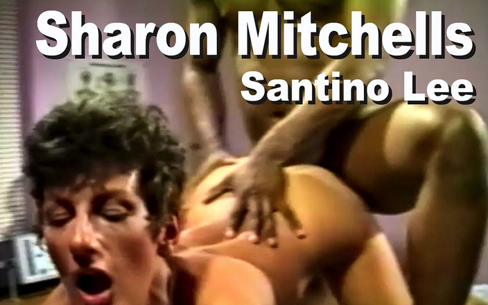 Edge Interactive Publishing: Sharon mitchell e santino lee succhino e scopano e sborrata...