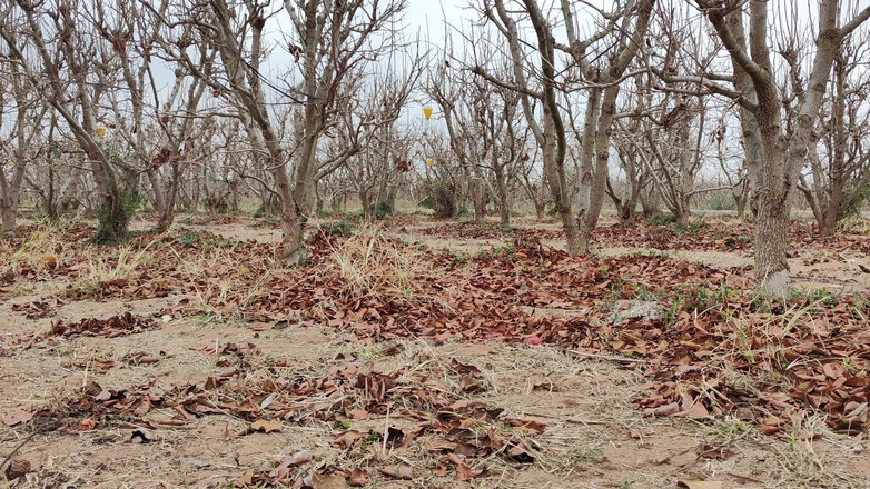 HornyMaria96: 在外面撒尿汇编