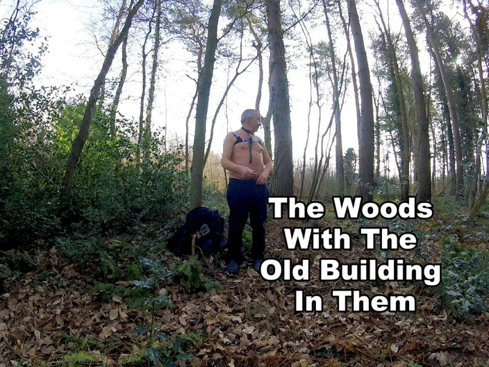 Andy: Прогулянка 8 2025