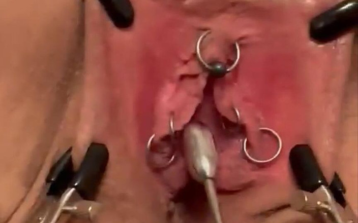 SM Couple 69: Introducere de sondare și perie