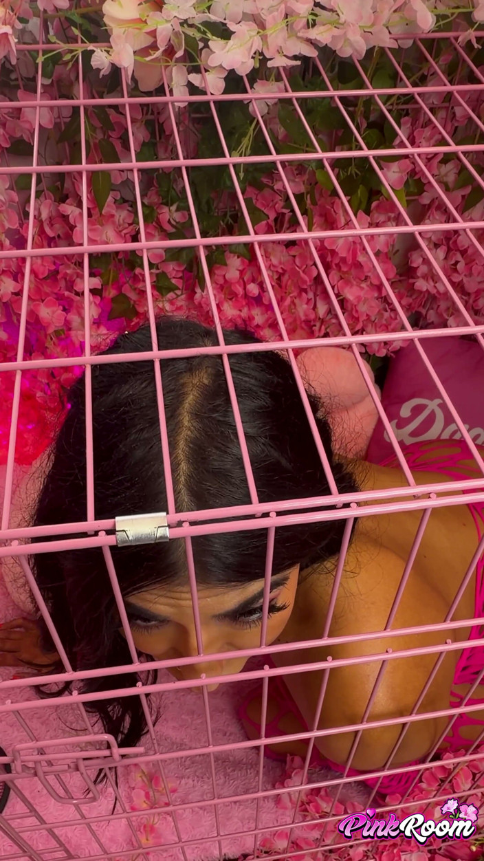 Nasty Sluts Studios: Jasmine Sherni Begs for a Breeding - Vertical