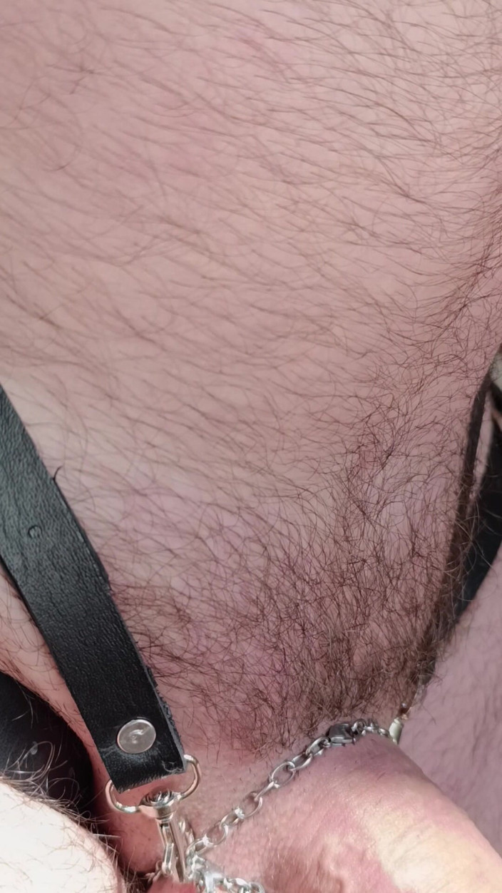 Bob Vajra: Ass in Harness