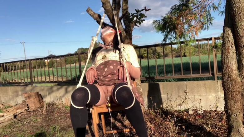 megu2002: Trainer's Direct Training No31 Rotor-Spiel fühlt sich gut an