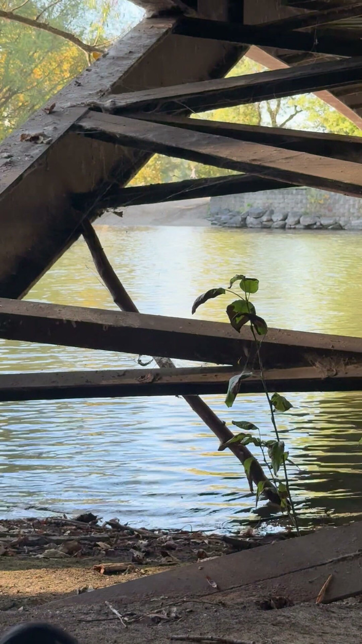 unemployedrobot: ช่วยตัวเองในที่สาธารณะ – Boise Idaho Greenbelt จักรยานเดินเท้า