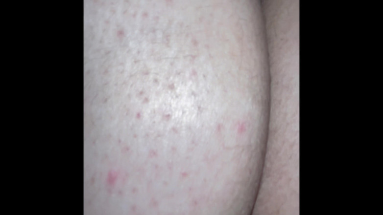 Hard: Majelis Musim Semi Pantat Gemuk