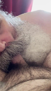 Big Bearded Stepdaddy Sucks Cub Cock