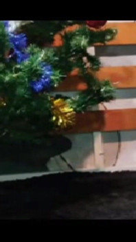 Mother Christmas Assembles Her Christmas Tree 2025