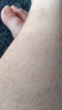 Behaarte beine necken alle deine sinne