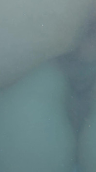 Risky Secret Sex in the Pool with a Stepsister and Distracted Stepfather at the Barbecue