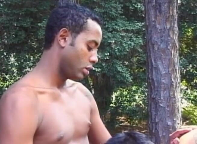 Bareback TV: Pengongkek punggung Brazil
