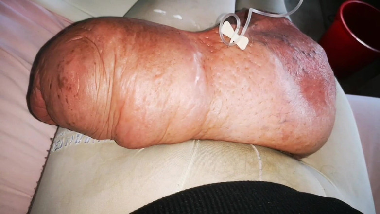 Monster_Meat_: Un'altra enorme infusione