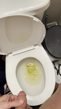 Sometimes I Film Myself Peeing