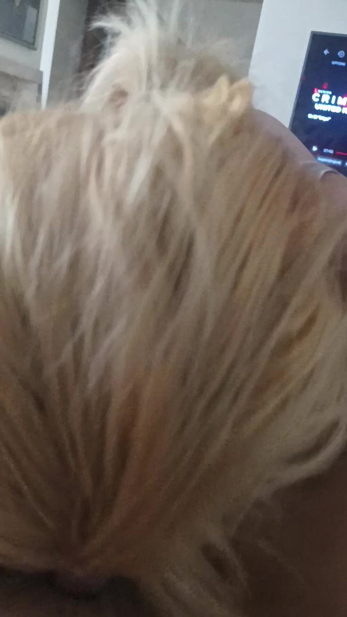 vuana: Bini amatur menghisap zakar besar blowjob deepthroat