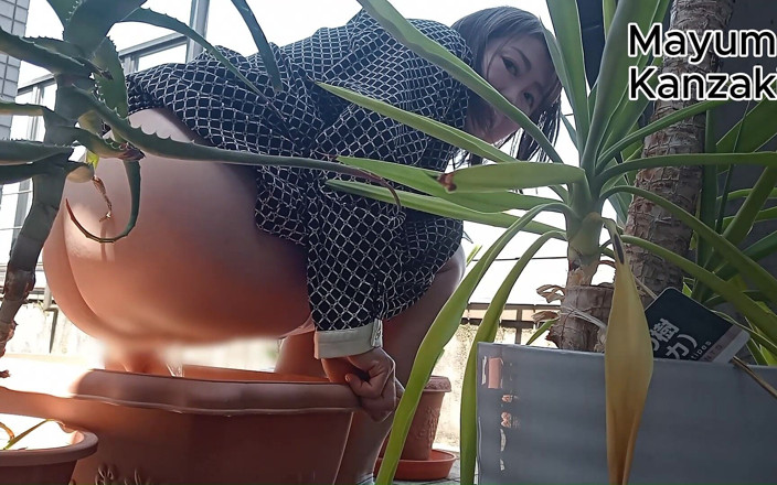 Mayumi Kanzaki: Uriner sur une plante en pot
