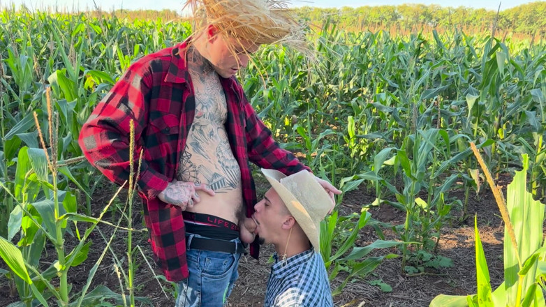 ErickDiazSp: I Got Lost in the Cornfield and Needed Help From...