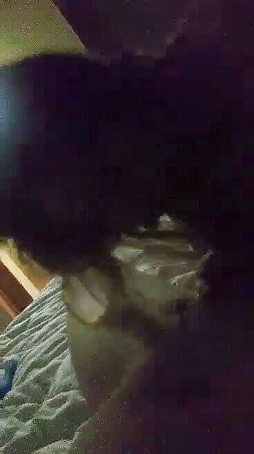 Mickey And Malory: Nyepong kontol itu