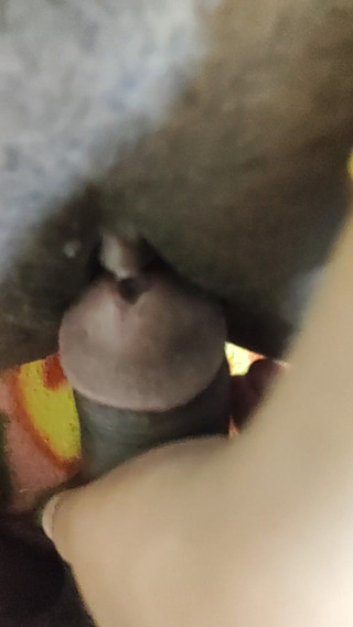 Arohi11: Lasciamo stare, c'è divertimento