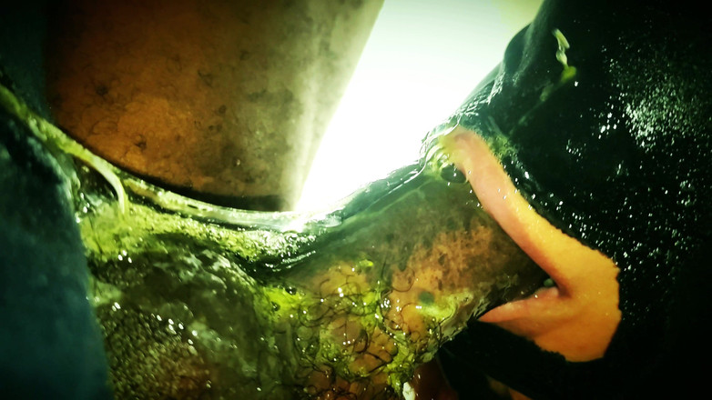 Uncut Lil Midget and Latina Freaky Friends: Moje orálová puppet