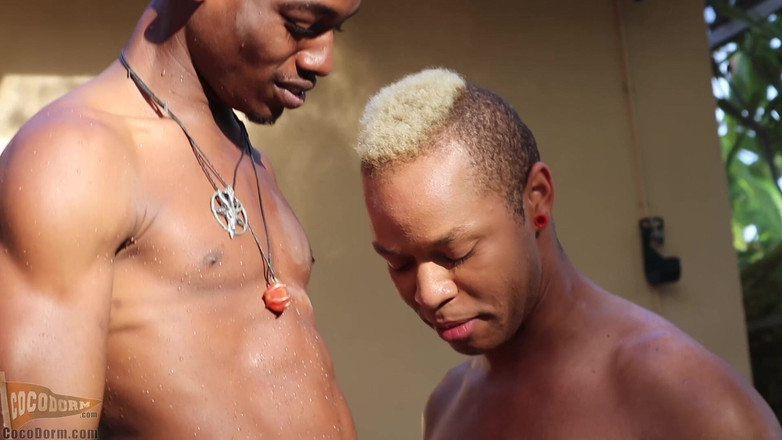 CocoDorm: Calvin Collins + pupcore - beni havuzda sik