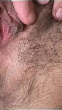 The Hairy Pussy Licked