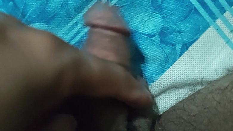 Hot Chilli 2025: En iyi solo eğlence! My Hamster'ın en sevdiği boş zaman...