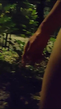 Masturbating Naked on the Side of the Freeway at Night