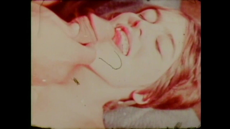 Vintage Usa: Die Zitrusfrüchte des Einkaufens