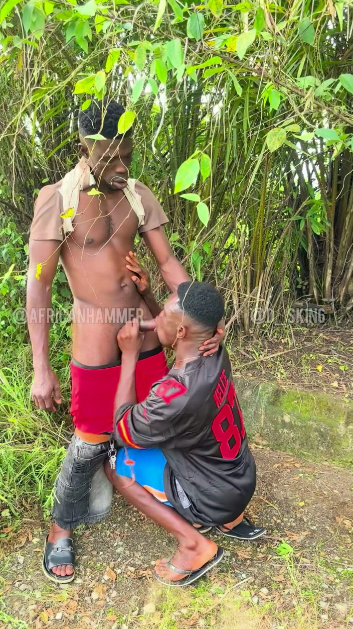 AFRICANHAMMER1: Buitenweer