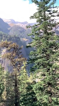 Blowjob and Doggy Fuck for Petite Redhead on Mountain Hike