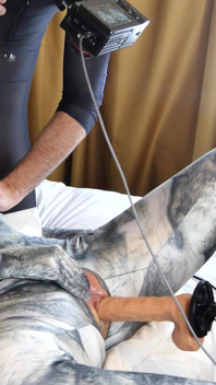 Nora Fox Wolf Zentai omkastingsmachine