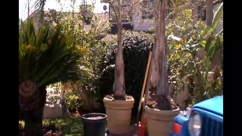 Fuck And Go: Американські повії!! - 03 серія