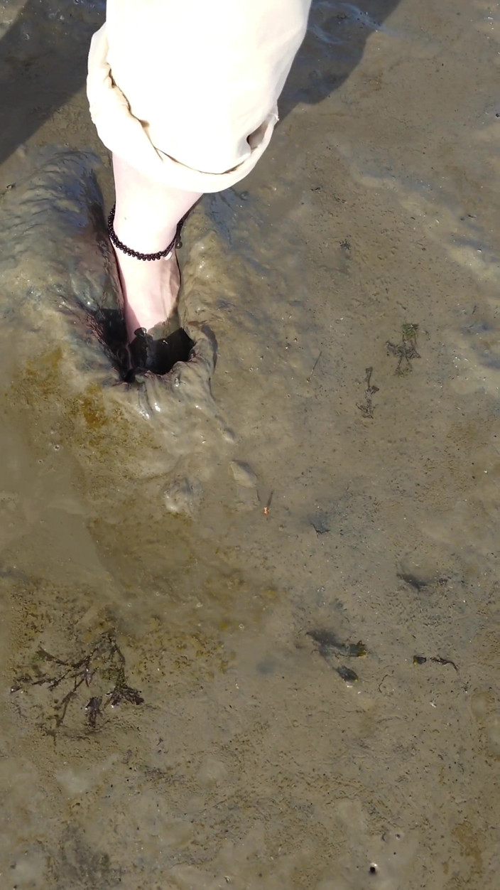 Footfetish: Short Test in the Mudflats on the Beach of Horumersiel
