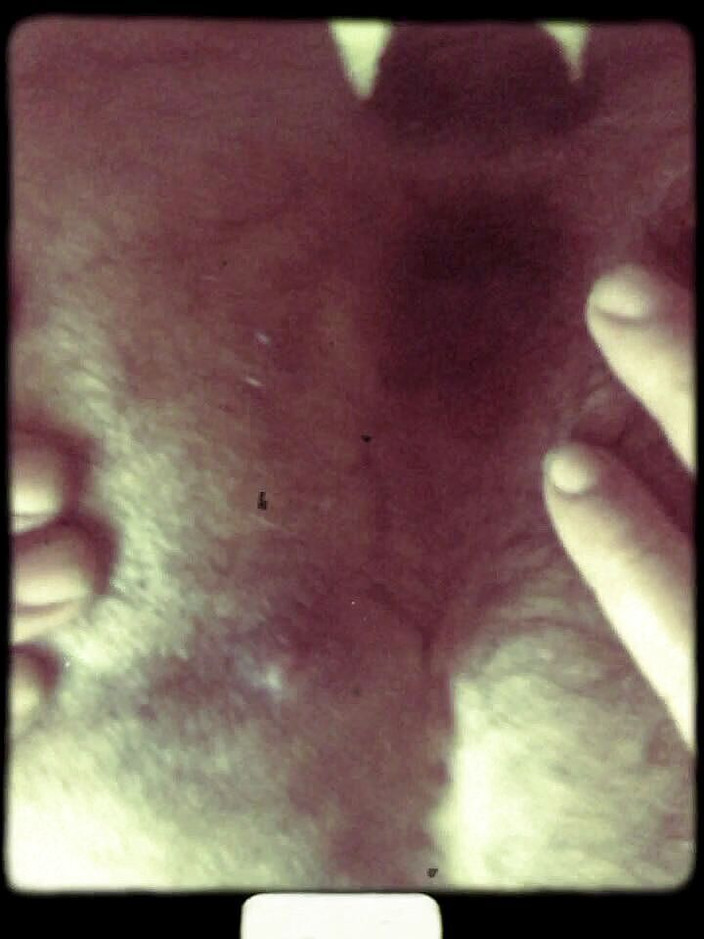 Phillholes: अलग-अलग बड़े डिल्डो के साथ अपनी खुद की जोरदार चुदाई