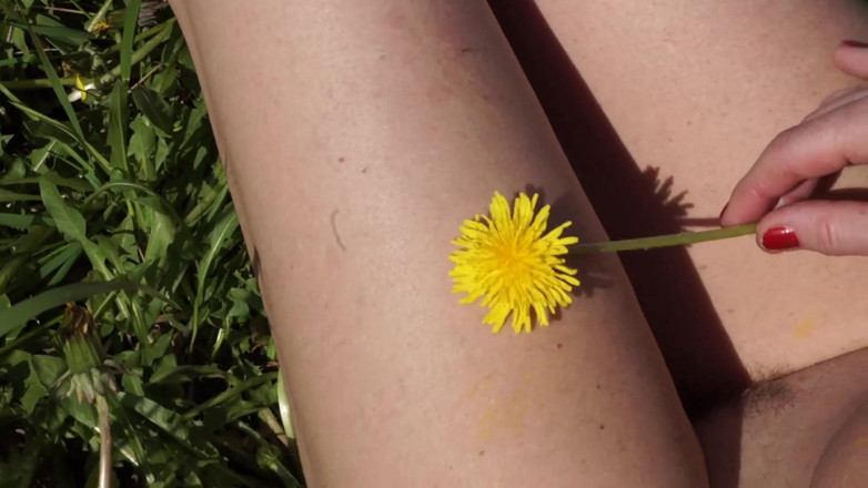 Natella Dance: Dandelion meadow