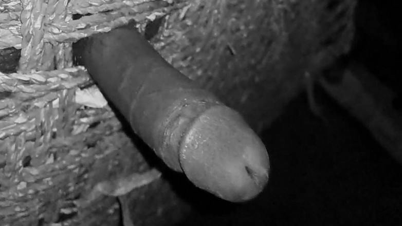Desi_Porn_India: Hot Indian Desi Boy Masturbating in the Night.